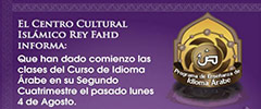 articulo