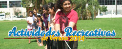 articulo
