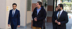 articulo