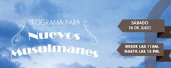 articulo