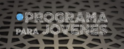 articulo